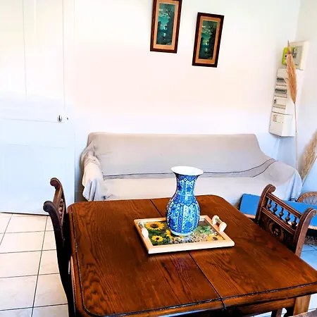 Maison Calme Avec Jardin A Capbreton, Et Commerces A Proximite - Fr-1-239-1077 * Capbreton